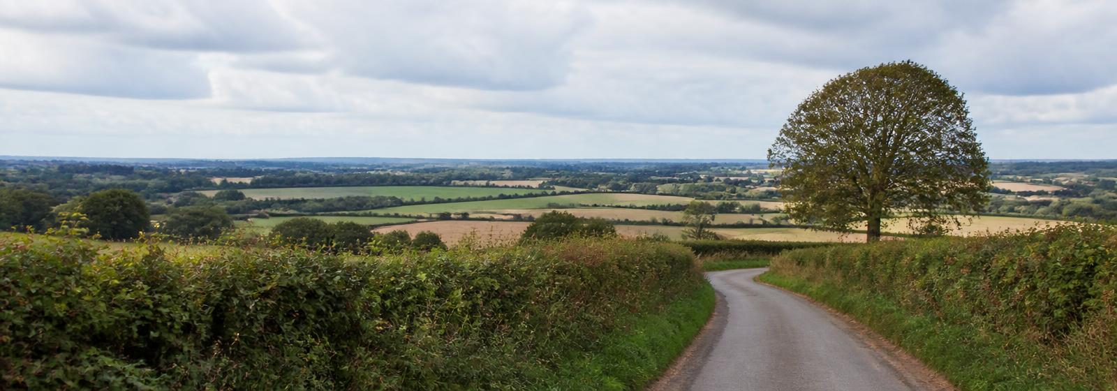 A country lane curving between hedgerows across patchwork English fields